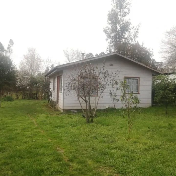 1000101124_68d025688314f.jpg