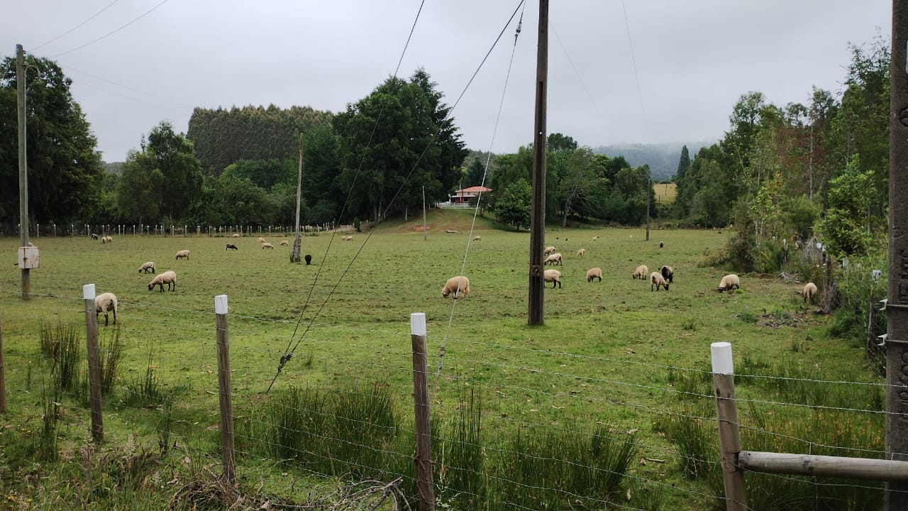 IMG-20250818-WA0057_68e67d40c49a0.jpg