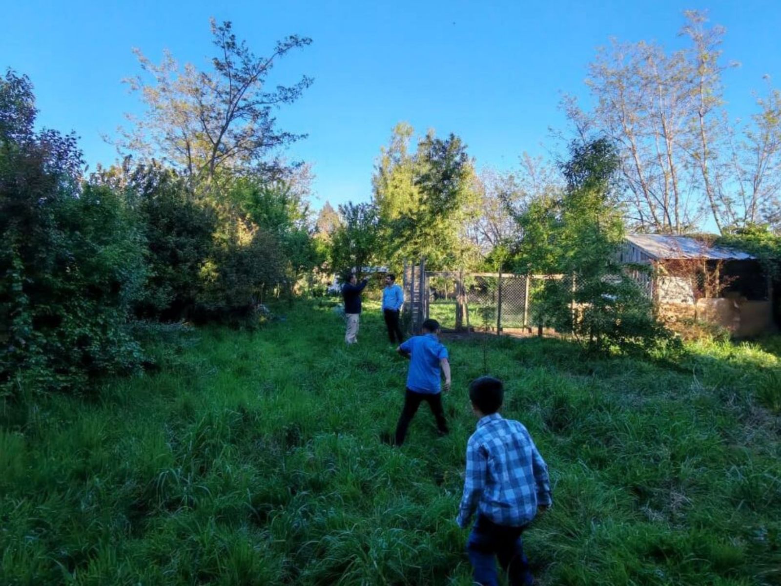Terreno-en-venta-en-colbun_2_68ee78a27161a.jpg