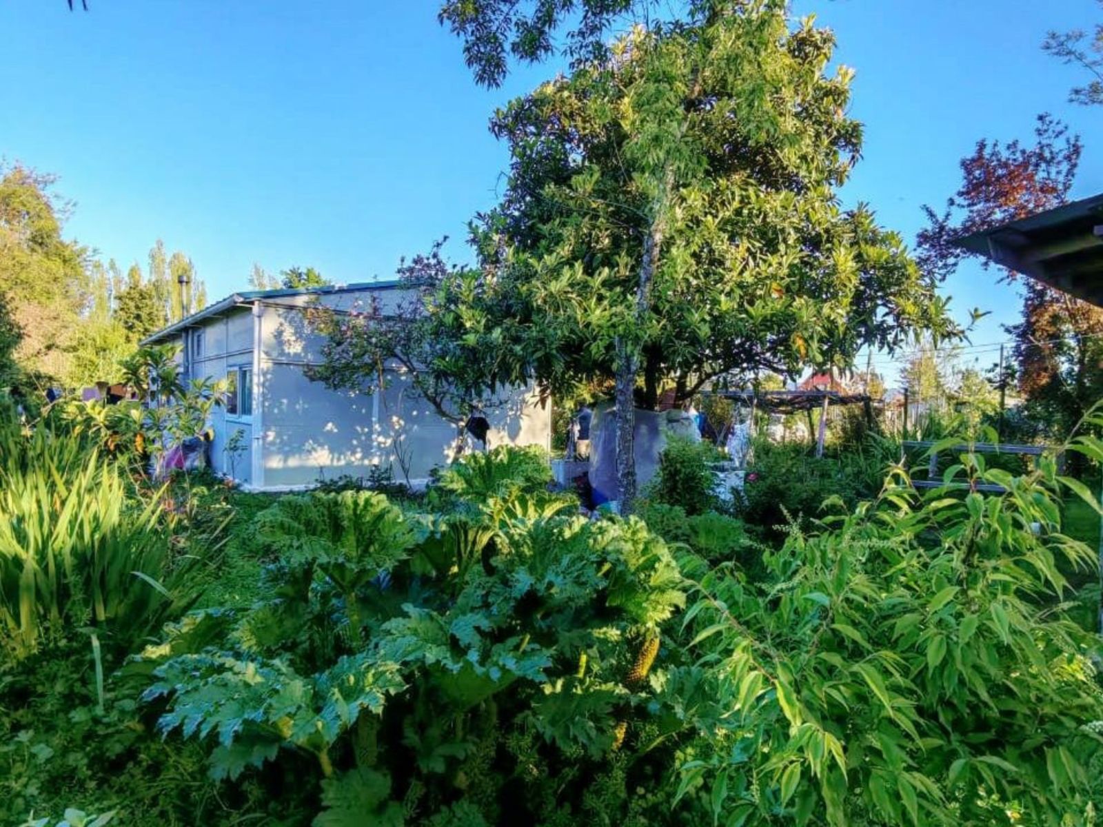 Terreno-en-venta-en-colbun_3_68ee78a2789be.jpg