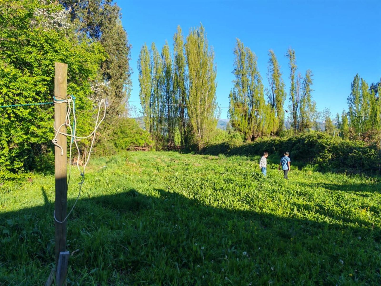 Terreno-en-venta-en-colbun_5_68ee78a286f6d.jpg