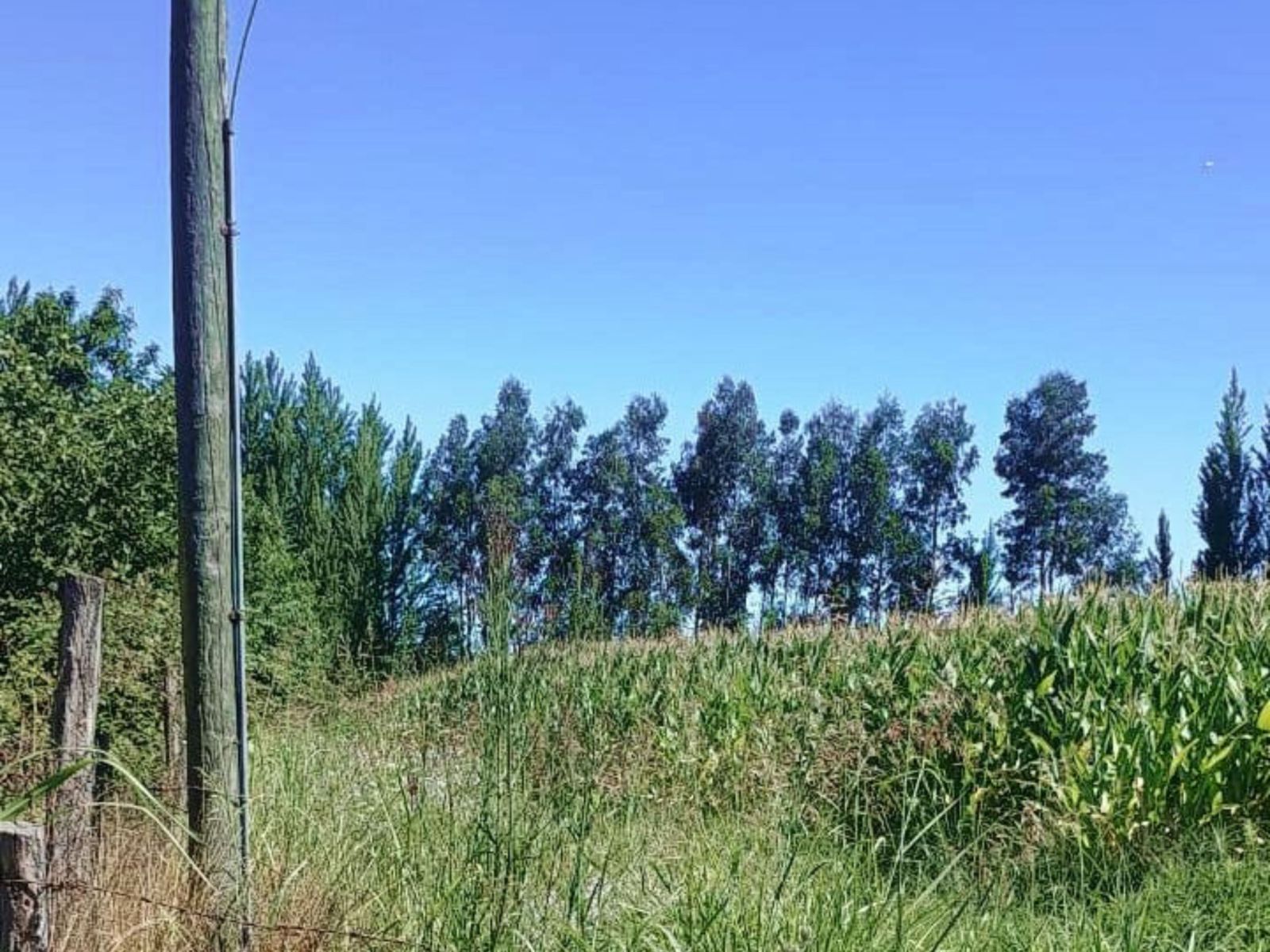 Terreno-en-venta-en-yerbas-buenas_7_69713f29d1e26.jpg