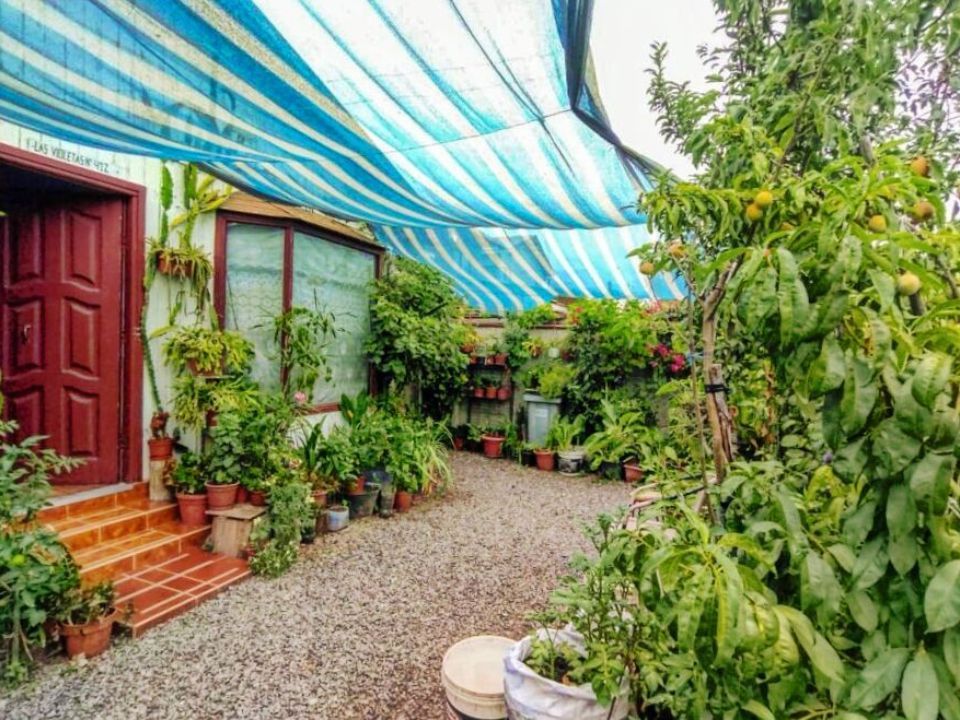 Casa-en-venta-en-Peñaflor_15_6983fe057c33e.jpg