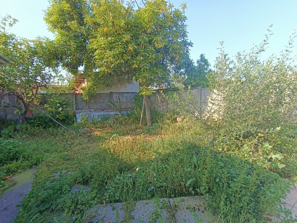 D_698297-MLC82405385983_022025-F.jpg